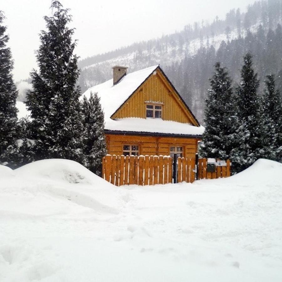 Willa Sno House Szczyrk Zewnętrze zdjęcie
